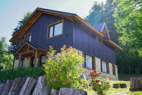 BOG Sweet Home